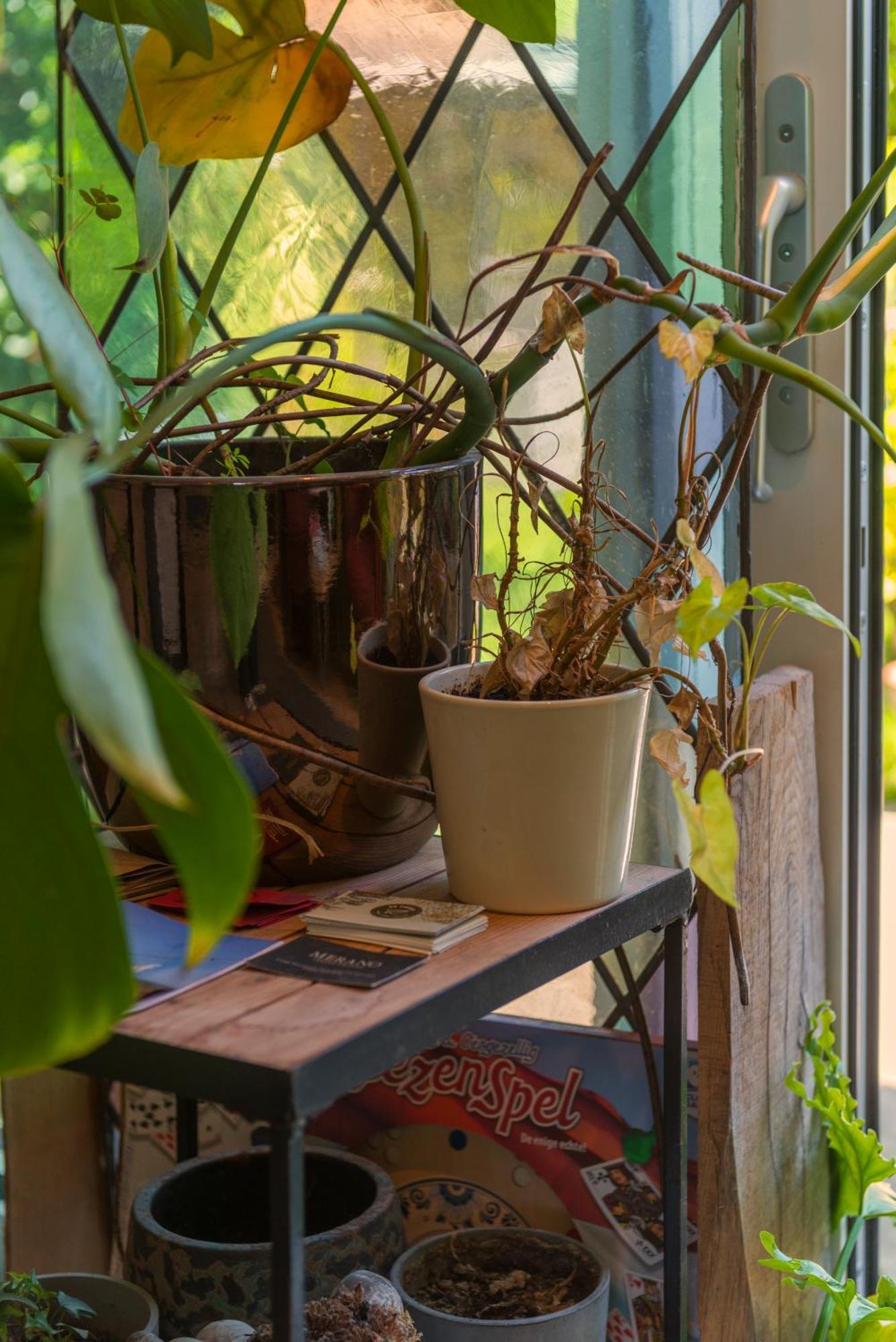 Cozy House - Leenfietsen, Eigen Keuken En Badkamer Nijmegen Exteriér fotografie